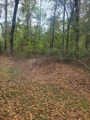 LOT 5 KNOLLWOOD CIRCLE, OTHER GEORGIA, GA 39819 - Image 1