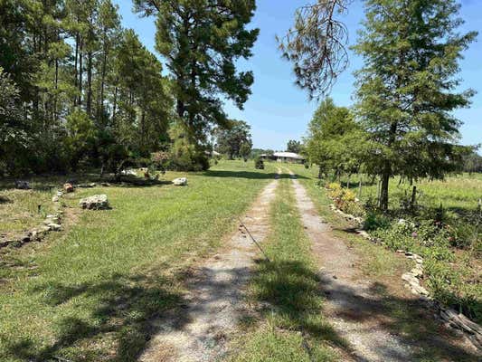 4287 BASSETT DAIRY RD, MONTICELLO, FL 32344 - Image 1