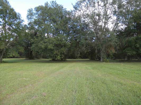 TBD TAYLOR ROAD, MONTICELLO, FL 32344 - Image 1