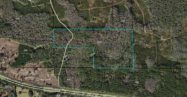 FALLOW ROAD, LAMONT, FL 32336 - Image 1