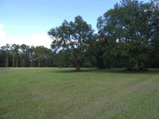 TBD TAYLOR ROAD, MONTICELLO, FL 32344 - Image 1