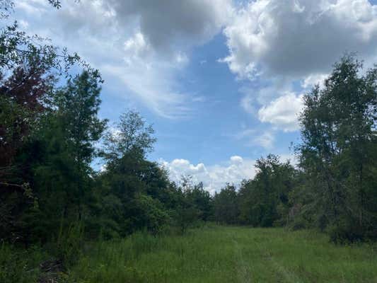 VACANT SE PARLIAMENT TRAIL, LEE, FL 32059 - Image 1