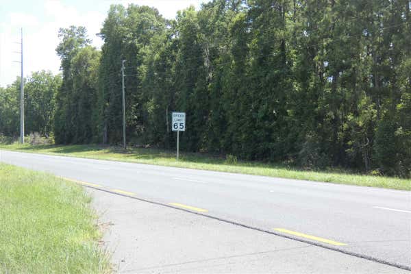 TBD S JEFFERSON HIGHWAY, LAMONT, FL 32336 - Image 1