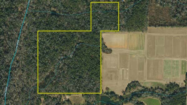 HOGAN LANE, QUINCY, FL 32351 - Image 1