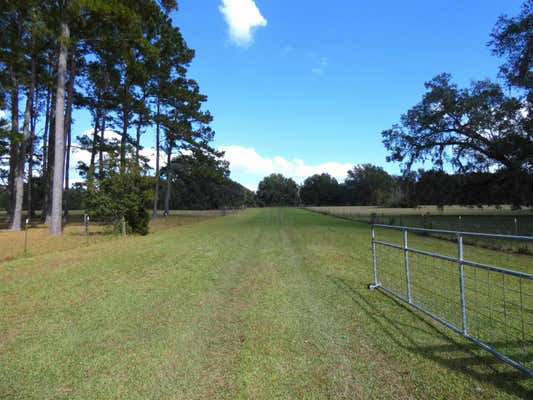 TBD TAYLOR ROAD, MONTICELLO, FL 32344 - Image 1