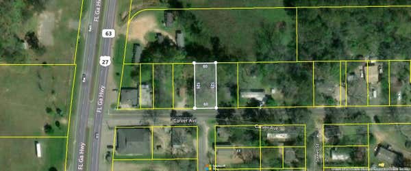 53 CARVER AVE, HAVANA, FL 32333 - Image 1