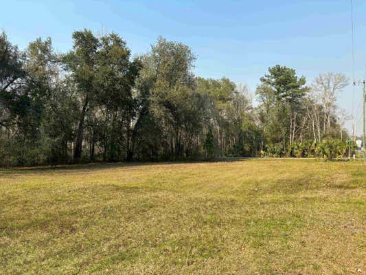 17673 NE STATE ROAD 65, HOSFORD, FL 32334 - Image 1