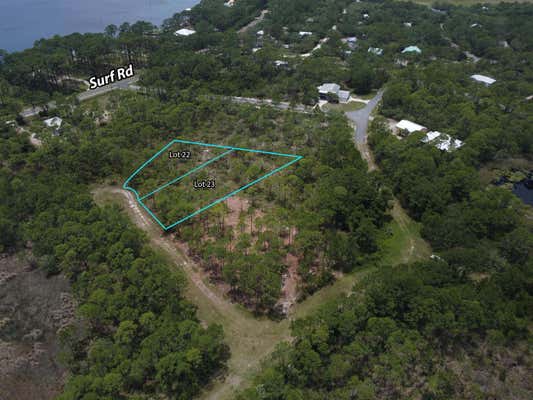 LOT 22&23 TARPINE DRIVE, PANACEA, FL 32346 - Image 1