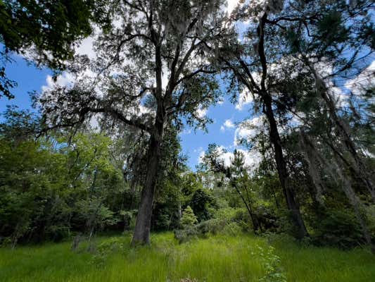 006 BRUSHY HAMMOCK ROAD, MAYO, FL 32066, photo 3 of 23