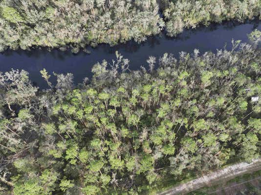 XXX NE CHERVIL DRIVE, LEE, FL 32059 - Image 1