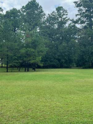 LOT 10 BIRD DOG POINT, TALLAHASSEE, FL 32309 - Image 1