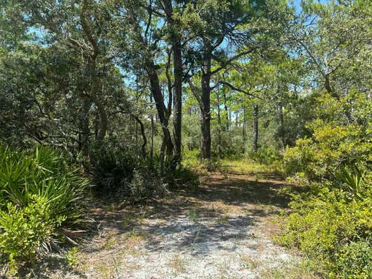 1 FERNWAY DR, ALLIGATOR POINT, FL 32346 - Image 1