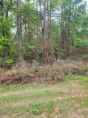 LOT 1 FACEVILLE HIGHWAY, OTHER GEORGIA, GA 39819 - Image 1