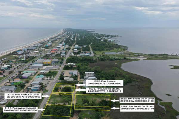 216 E BAYSHORE DR # 1, SAINT GEORGE ISLAND, FL 32328 - Image 1