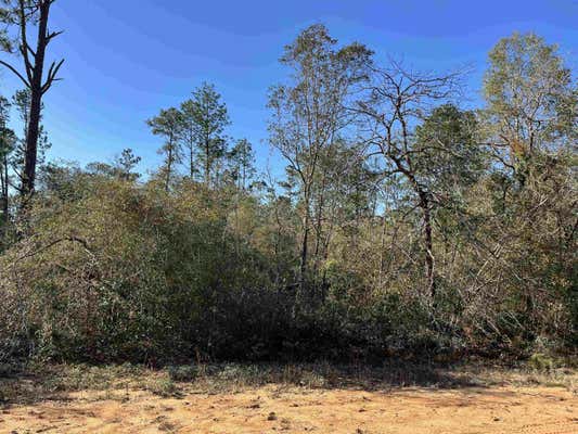 APALACHICOLA AVENUE, ALFORD, FL 32420 - Image 1