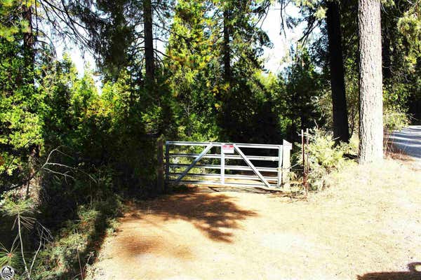 24455 S FORK RD, TWAIN HARTE, CA 95383 - Image 1