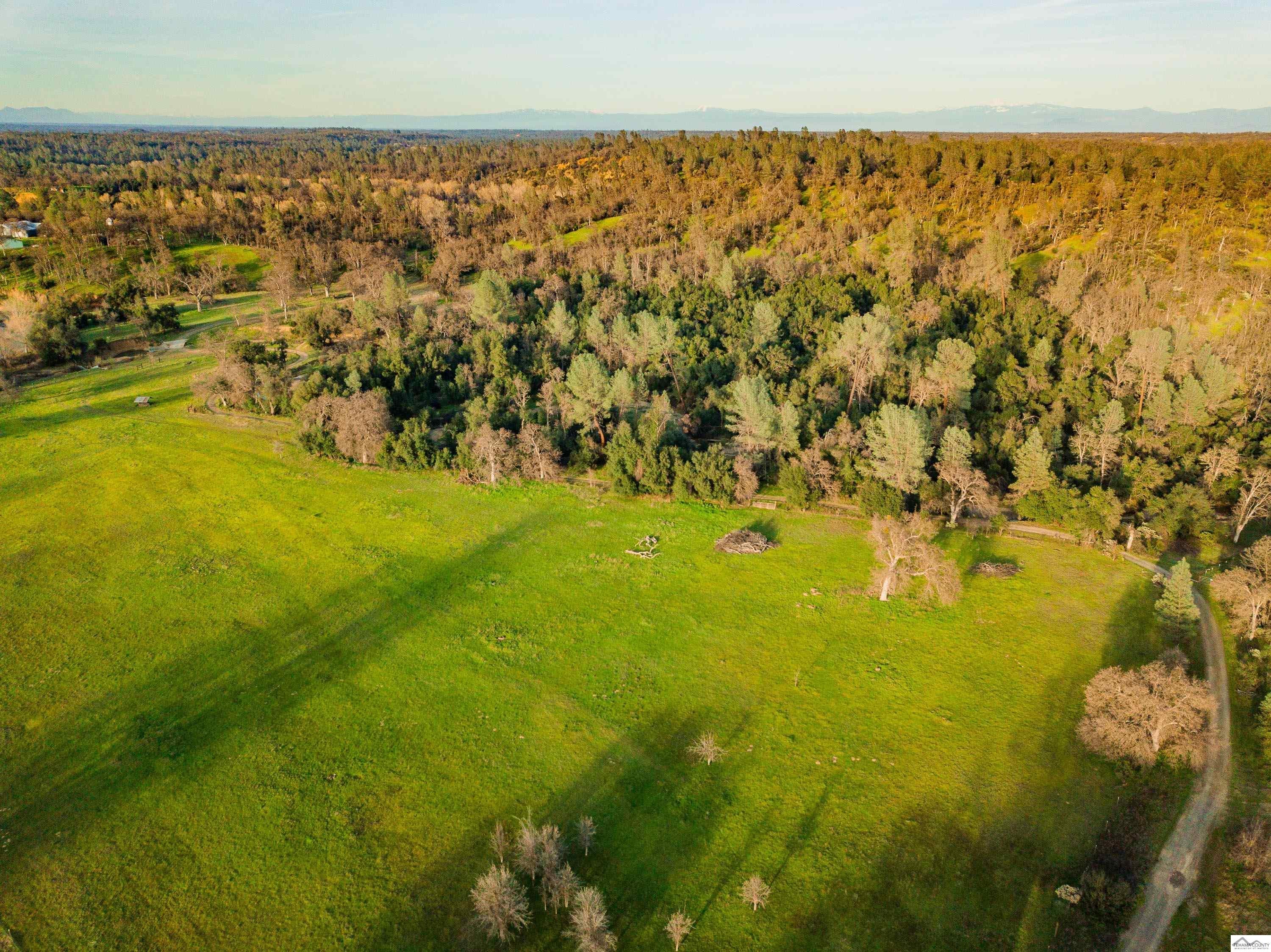 Red Bluff, California, 96080, United States, ,5 BathroomsBathrooms,Residential,Active,1770096