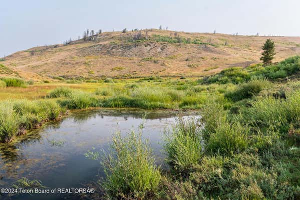 TRACT 17 FISHERMAN CREEK ROAD, BONDURANT, WY 82922 - Image 1