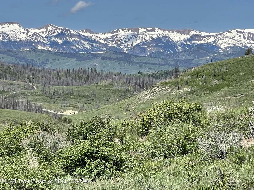 TBD FISHERMAN CREEK / CHIPPEWAUGH ROAD, BONDURANT, WY 82922, photo 1 of 26