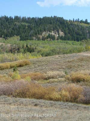 LOT 3 SCHROTH ROAD, BONDURANT, WY 82922, photo 4 of 14