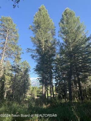 LOT37 ALPINE MEADOWS LOOP, ALPINE, WY 83128, photo 3 of 13