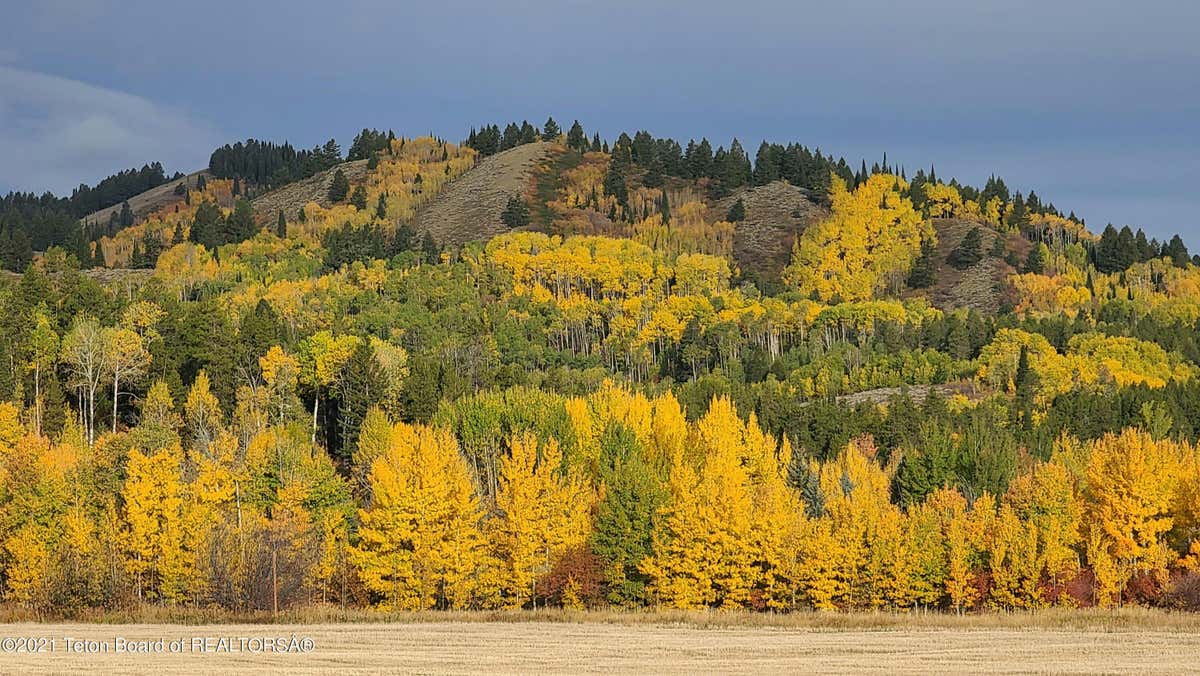 5500 GROVE CREEK ROAD, VICTOR, ID 83455, photo 1 of 96