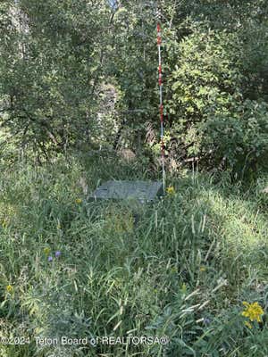 LOT37 ALPINE MEADOWS LOOP, ALPINE, WY 83128, photo 4 of 13