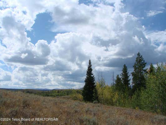 LOT 3 SCHROTH ROAD, BONDURANT, WY 82922, photo 5 of 14