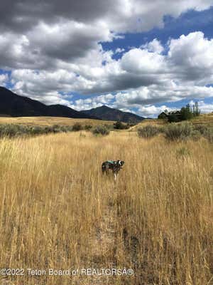 TBD CEDAR CIRCLE, IRWIN, ID 83428, photo 5 of 14