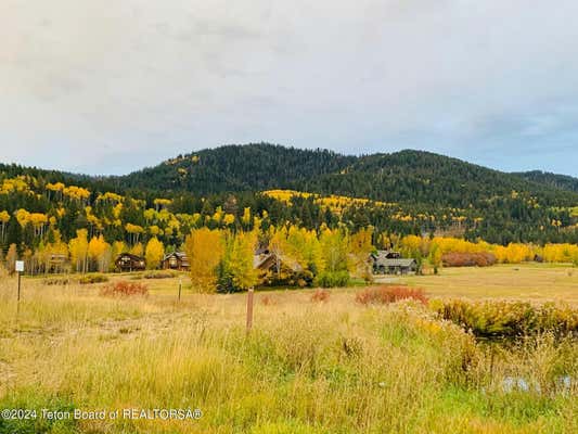 54 WARM CREEK LN, VICTOR, ID 83455 - Image 1