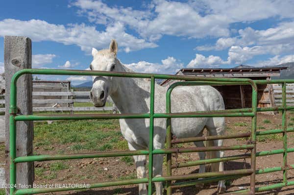 20 COUNTY ROAD 107, ETNA, WY 83118 - Image 1