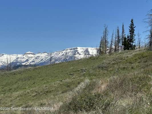 TBD MOUNTAIN VIEW DRIVE, BONDURANT, WY 82922 - Image 1