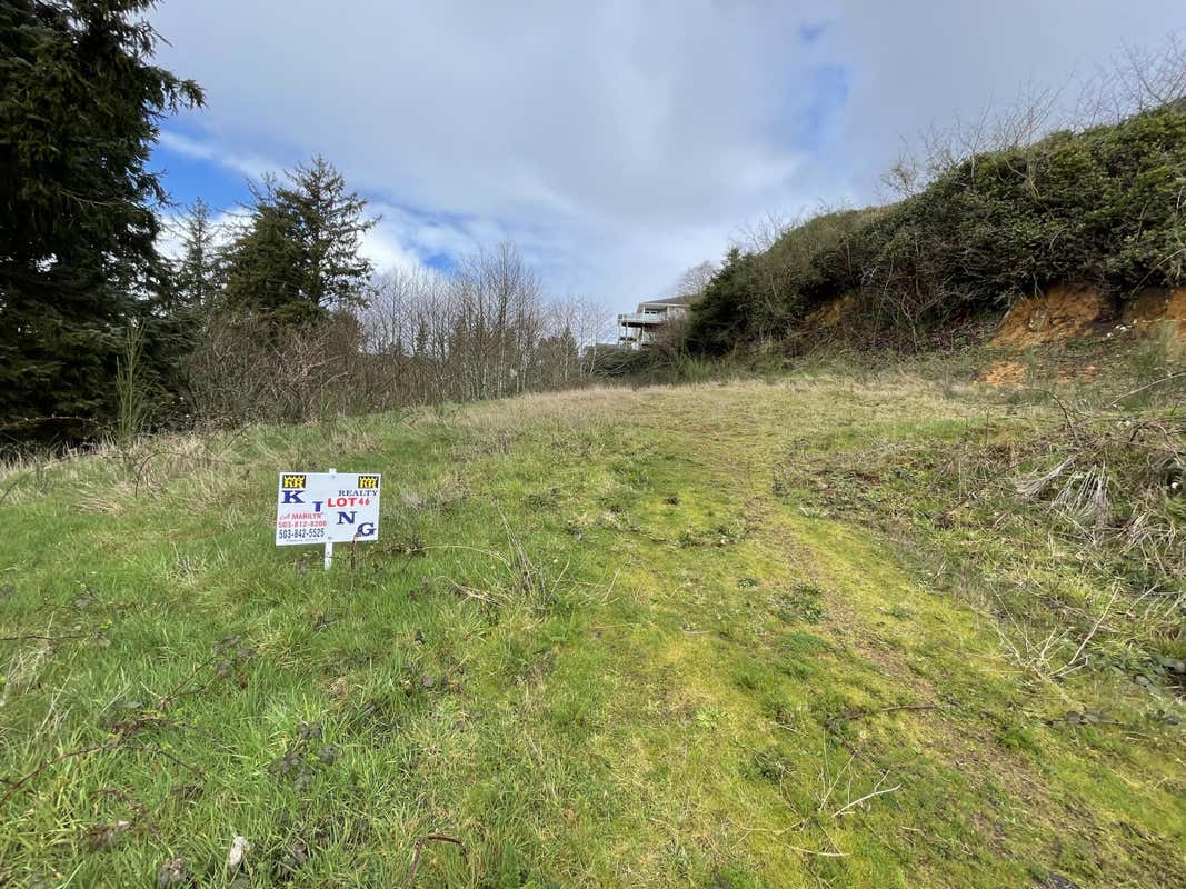 LOT 46 SOUTH Rdg Dr  
