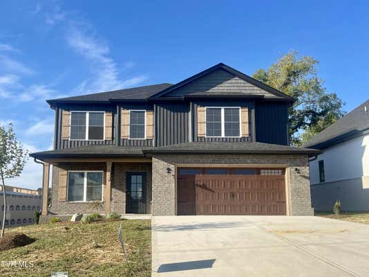 249 DRY KILN CT, GRAY, TN 37615 - Image 1