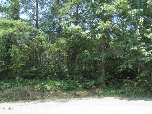 TBD CLATE PLACE, CHURCH HILL, TN 37642 - Image 1