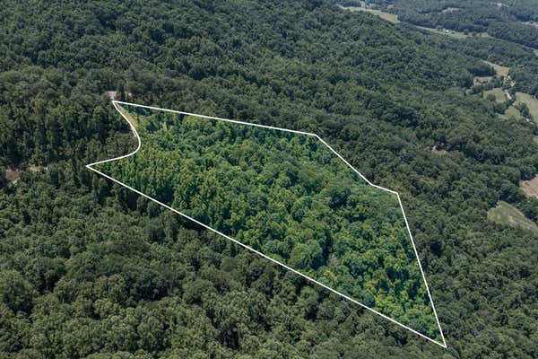 LOT 4 RIDGETOP LANE, UNICOI, TN 37692, photo 4 of 82