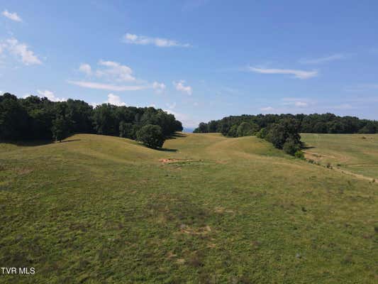 TBD BAILEY BRIDGE RD, LIMESTONE, TN 37681, photo 4 of 10