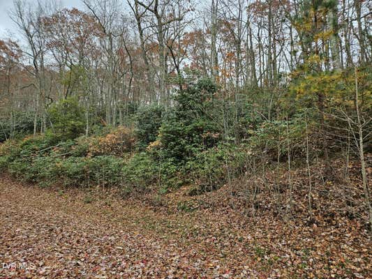 LOT 17 FOX HOLLOW DRIVE, TAZEWELL, VA 24630 - Image 1