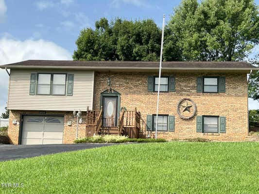 117 CAROLYN AVE, FALL BRANCH, TN 37656 - Image 1