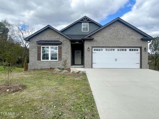 290 DRY KILN CT, GRAY, TN 37615 - Image 1