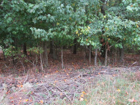 0 BAYWOOD DR. LOT 1, PINEY FLATS, TN 37686 - Image 1