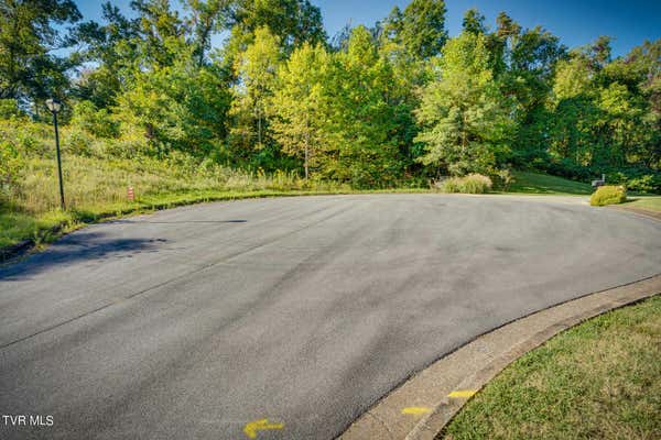 TBD BECKY DRIVE, JOHNSON CITY, TN 37601 - Image 1