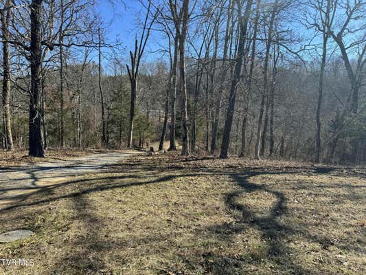 00 EAST STAGECOACH ROAD, GREENEVILLE, TN 37743 - Image 1