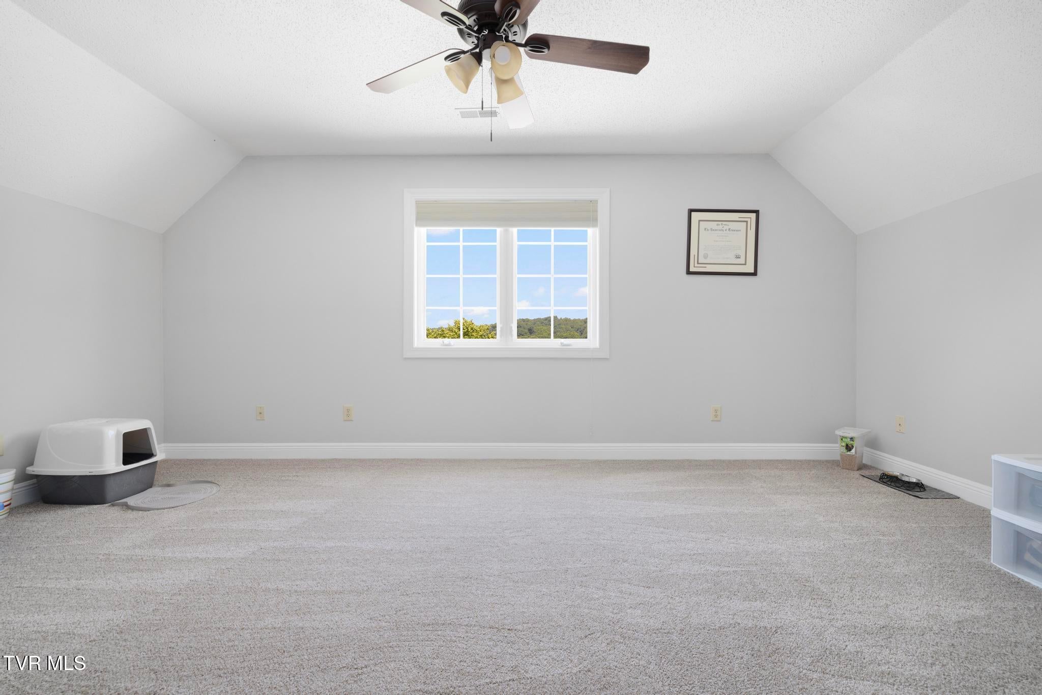 Piney Flats, Tennessee, 37686, United States, 5 Bedrooms Bedrooms, ,5 BathroomsBathrooms,Residential,Active,1849555