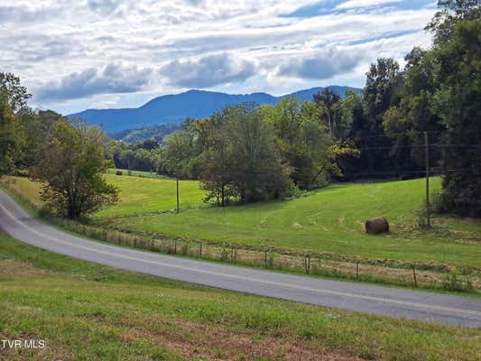 15 ACRES CEDAR CREEK ROAD, GREENEVILLE, TN 37743 - Image 1