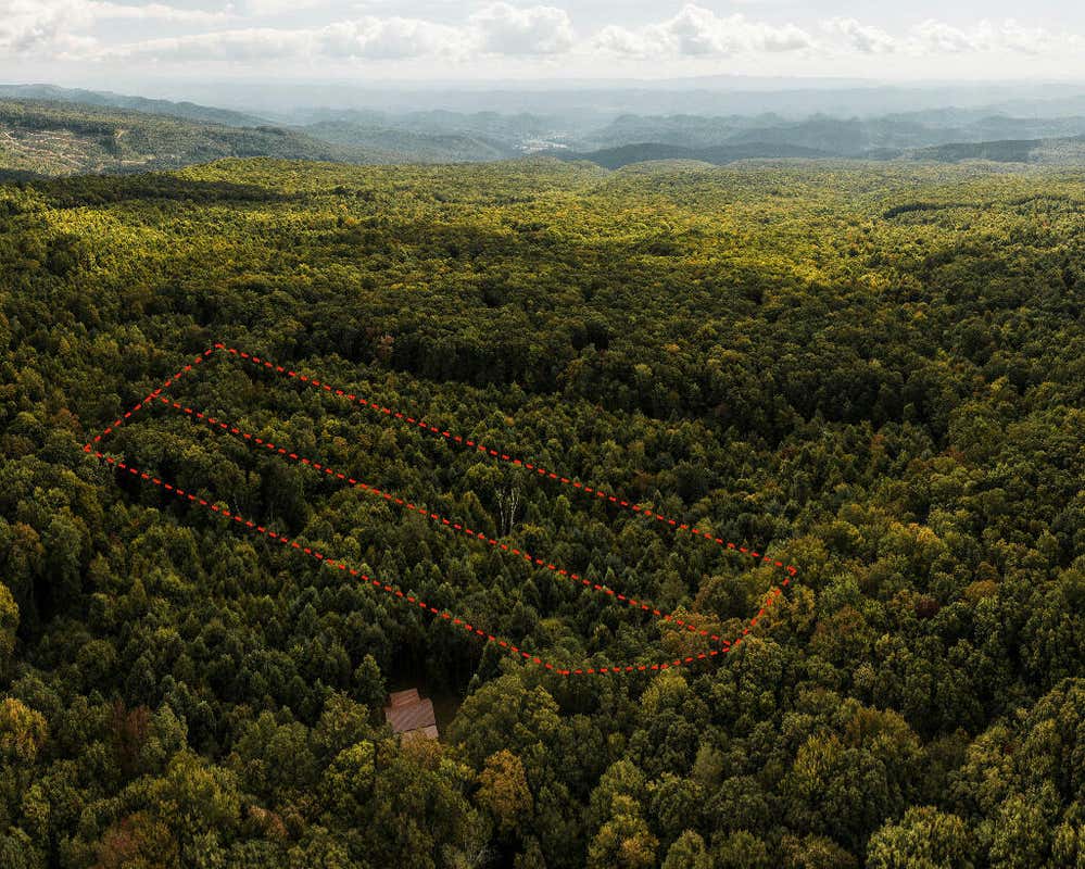 0 DEER TRACK DRIVE, COEBURN, VA 24230, photo 1 of 18