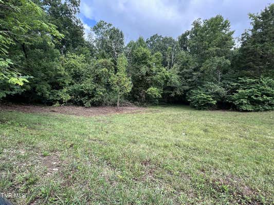 LOT 5 CLEMON ROAD, BULLS GAP, TN 37711, photo 3 of 7