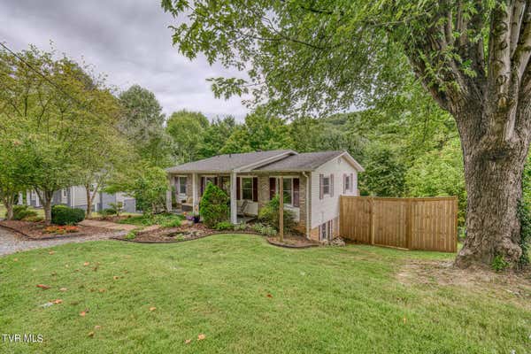 1118 BERRY RD, ELIZABETHTON, TN 37643 - Image 1