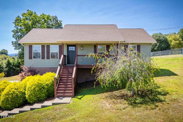 387 MOCKINGBIRD PL, JONESBOROUGH, TN 37659 - Image 1