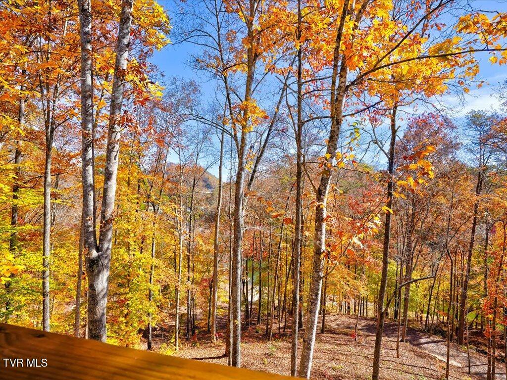 New Tazewell, Tennessee, 37825, United States, 2 Bedrooms Bedrooms, ,2 BathroomsBathrooms,Residential,Active,2007647